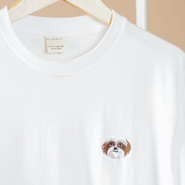 Shih Tzu White